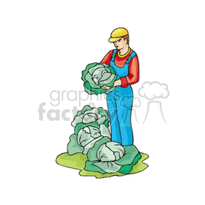 The clipart image features a farmer wearing a yellow hat, red shirt, and blue overalls, standing and holding a head of cabbage or lettuce. The farmer is surrounded by several more heads of leafy greens, suggesting a harvest from a vegetable garden or farm.