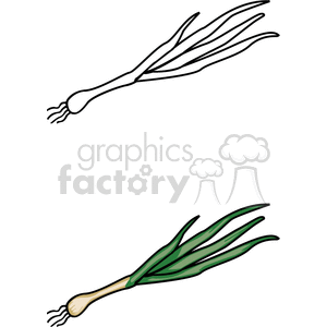 Green onion