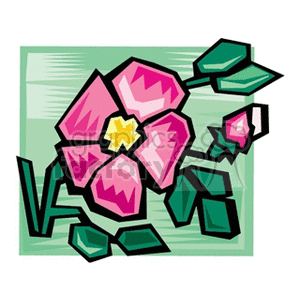 pink flower