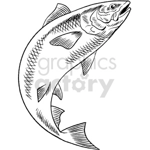 The image is a black and white clipart of a salmon fish. The salmon is drawn in a dynamic, curved position that suggests movement, with details such as scales, fins, gills, and an open mouth.