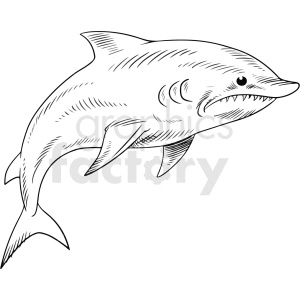 black white dolphin vector clipart