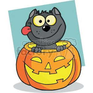 Cartoon Character Halloween Black Cat Sitting Inside Of A Pumpkin