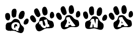 The image shows a series of animal paw prints arranged in a horizontal line. Each paw print contains a letter, and together they spell out the word Quana.