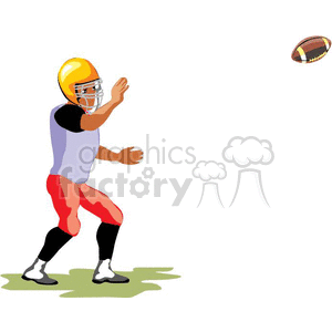 football-007