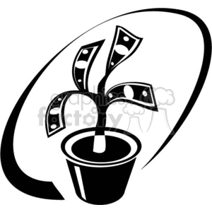 black and white money tree