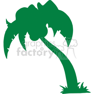 green palm tree