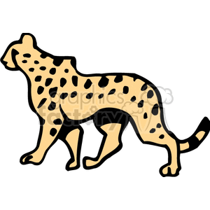 The clipart image features a stylized representation of a spotted wild cat, characterized by features that suggest it could be a leopard or a cheetah due to its spots and body shape.