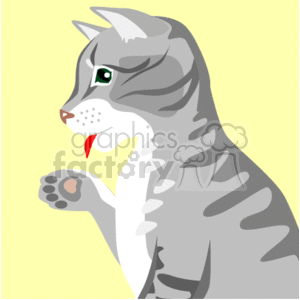 The image is a clipart illustration of a gray cat. The cat appears to be in the midst of grooming itself, with its paw raised to its mouth, indicating that it might be licking its paw. It has a pattern of darker gray stripes and is looking to the side with its tongue slightly visible. The background is a plain, light yellow color, providing a simple contrast to highlight the cat.