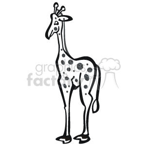 The image shows a black and white sketch of a giraffe with black spots on its body. The animal has a long neck and a small head. 