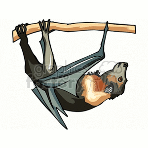 The clipart image depicts a single bat hanging upside down from a branch. The bat has its wings folded and is shown in a relaxed position, which is typical resting behavior for these nocturnal creatures. The illustration style is cartoonish and simplifies the bat's features, making the image suitable for various uses, including educational materials or Halloween themed decorations.