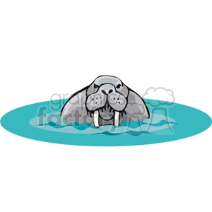 The clipart image depicts a walrus with prominent tusks and whiskers, peering out of a body of water.