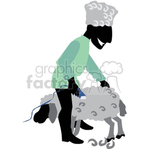 sheep herder shaving a sheep