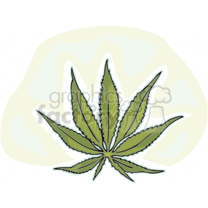 Marijuana leaf