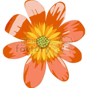 orange flower