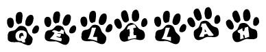 The image shows a series of animal paw prints arranged in a horizontal line. Each paw print contains a letter, and together they spell out the word Qelilah.