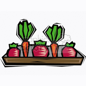 This clipart image depicts a collection of vegetables on a brown tray. There are carrots and what appear to be either beets or radishes. Each vegetable has a distinctly colored top, with the carrots showing orange bodies and green tops, while the beets/radishes show red/purple bodies with green tops.