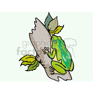 This clipart image features a green frog perched on a tree branch, with several leaves attached to the branch. The background appears neutral or plain, which accentuates the amphibian and vegetation in the forefront.