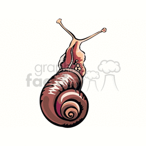 The clipart image shows a stylized snail with a detailed, spiral shell that is adorned with various patterns and markings. The snail's body and extended tentacles are also depicted with some artistic detailing.