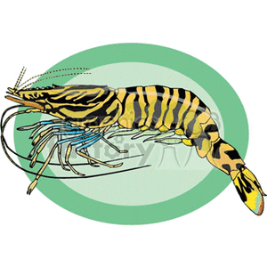 The clipart image shows a stylized representation of a tiger prawn (commonly known as a shrimp) against an oval green and teal background.