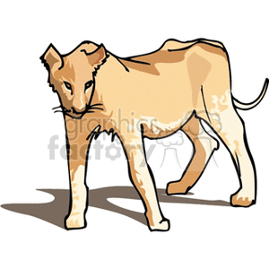 The clipart image depicts what appears to be a stylized representation of a young lion (lion cub). The animal is in a standing pose with a simple shading style that gives a sense of dimension.