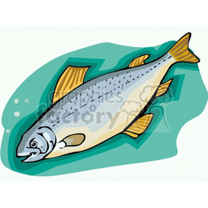 The image is a colorful clipart depiction of a fish. The fish is stylized and appears to be swimming against a teal background, with bubbles indicating movement. It appears to be a general representation of a fish, rather than a specific species.