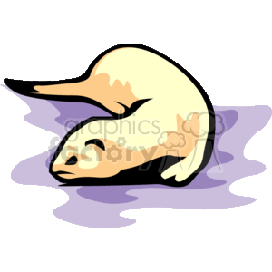 This is a clipart image depicting a stylized ferret. The ferret is shown in a curled up position, typically associated with relaxation or sleep. The colors of the ferret are primarily cream and light brown, with black detailing that suggests its eyes and other markings. The ferret is placed over what appears to be a purple and blue abstract shape, which may represent water or just a colorful background for contrast.
