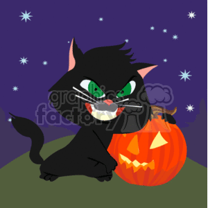 The clipart image showcases a black cat with green eyes, sitting next to a carved pumpkin that is illuminated from within, revealing a traditional jack-o'-lantern face. The cat appears to have a mischievous or sneaky expression. Both the cat and the pumpkin are positioned against a dark night sky sprinkled with white stars. 