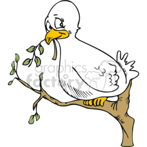 dove sitting on a branch