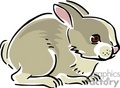 Baby Rabbit Cartoon