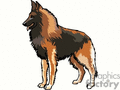 591663-tn_dog11.gif