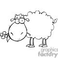 silly sheep