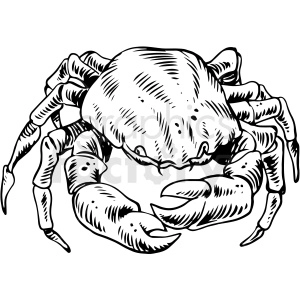 The image is a black and white line drawing of a crab. The style of the illustration is detailed and could potentially be used for various design purposes, such as a piece of artwork, a graphic for culinary themes, or even as inspiration for a tattoo design.