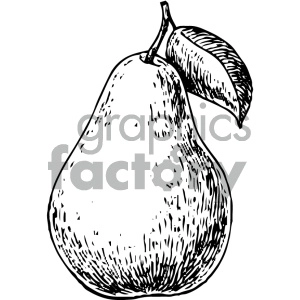 pear vintage art