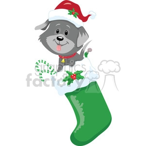 puppy in a stocking