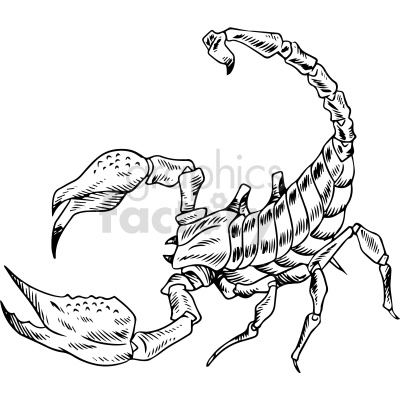 The image displays a line art drawing of a scorpion. It is styled in a manner that is often associated with tattoo design work, showcasing detailed shading and contouring to give depth and texture to the scorpion's body, claws, and segmented tail.