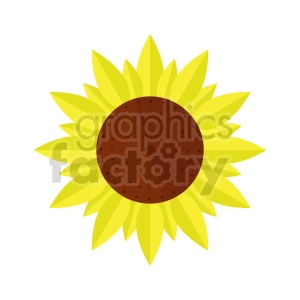 sunflower clipart