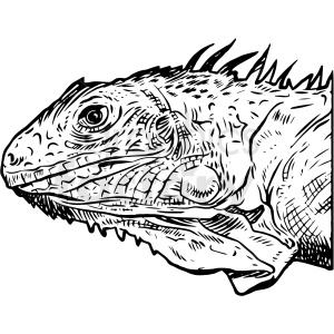 The image is a black and white clipart or drawing of a lizard's head. The lizard appears to be detailed, with scales, a ridge of spines along its neck, and a textured skin surface. The style is bold and graphic, resembling a traditional ink drawing or a tattoo design.