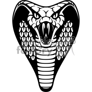 The clipart image features a stylized representation of a cobra snake with its hood expanded, which is often depicted as a mascot. The design is in black and white, with emphasis on the textures and patterns within the cobra's hood and scales.