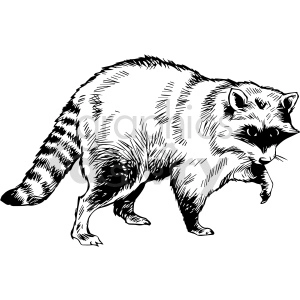 The image displays a black and white clipart of a raccoon. The raccoon is illustrated in a walking stance, with clear detail showing its striped tail and characteristic facial markings.