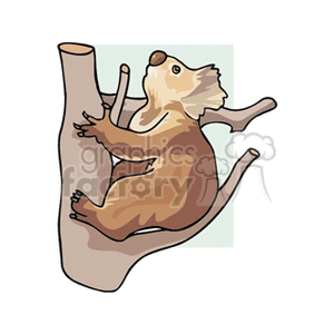 The image depicts a cartoon of a koala climbing on a tree branch. The koala appears to be in a typical climbing pose, with its limbs grasping the branch, characteristic of how koalas navigate through trees in the wild.