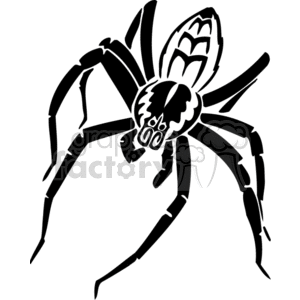 Spider