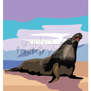  seal on a sunny beach 