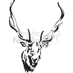 black and white deer head