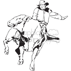 Bull rider