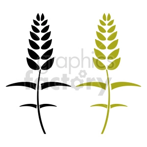 wheat grain vector clipart