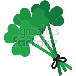 st patricks day clovers shamrocks no background