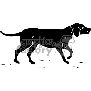 hunting dog vintage 1900 vector art GF