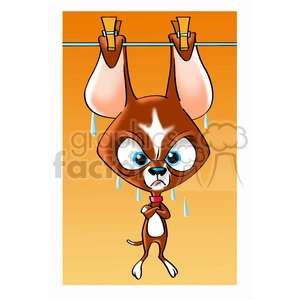 cartoon chihuahua dog drying by his ears