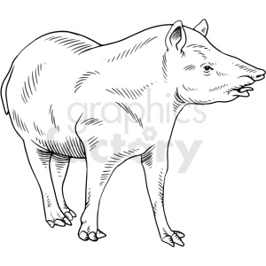 black and white wild boar vector clipart