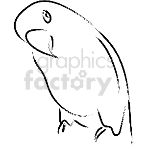 black and white parrot vector clipart